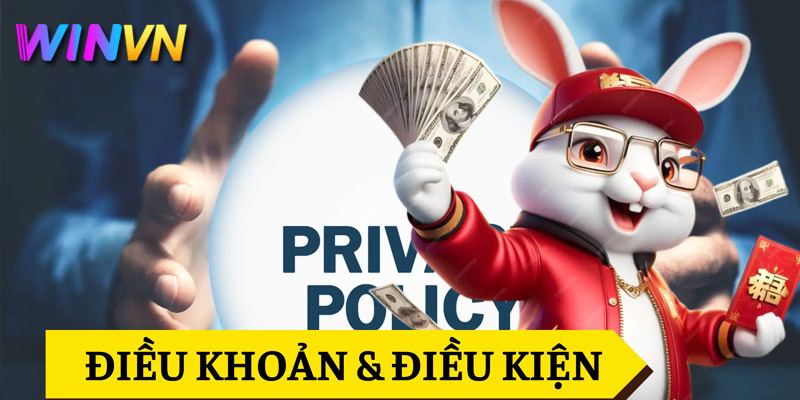 Tìm hiểu Điều khoản và Điều kiện tại nhà cái WinVn 2 Quy định về trách nhiệm cược thủ khi chơi game